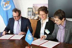 Drei Personen sitzen an einem massiven dunkelbraunen Holztisch und blicken auf verschiedene Unterlagen. Es sind mehrere hellblaue Flaggen mit dem Logo der Weltgesundheitsorganisation zu sehen.