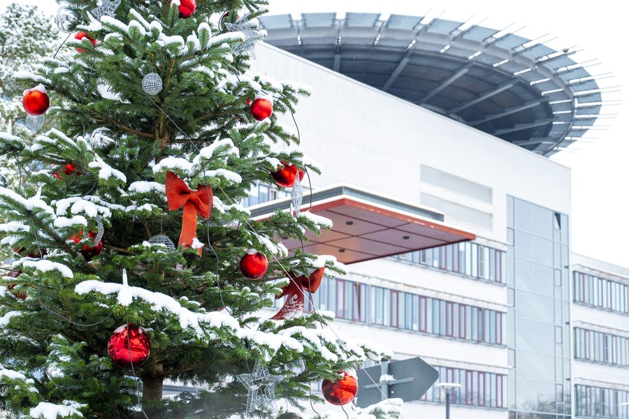 Im Vordergrund ist ein geschmückter und verschneiter Weihnachtsbaum zu sehen; im Hintergrund ist das Hauptgebäude des Universitätsklinikums Halle (Saale) zu erkennen.  Im Vordergrund ist ein geschmückter und verschneiter Weihnachtsbaum zu sehen; im Hintergrund ist das Hauptgebäude des Universitätsklinikums Halle (Saale) zu erkennen.