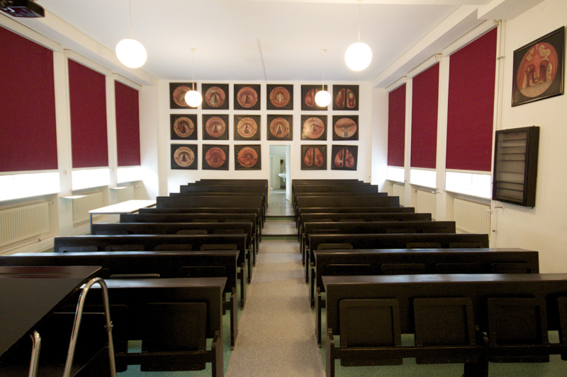 Leerer kleiner Hörsaal mit dunkelbraunen Stuhlreihen, dunkelroten Wänden und Bildern an der Rückwand.