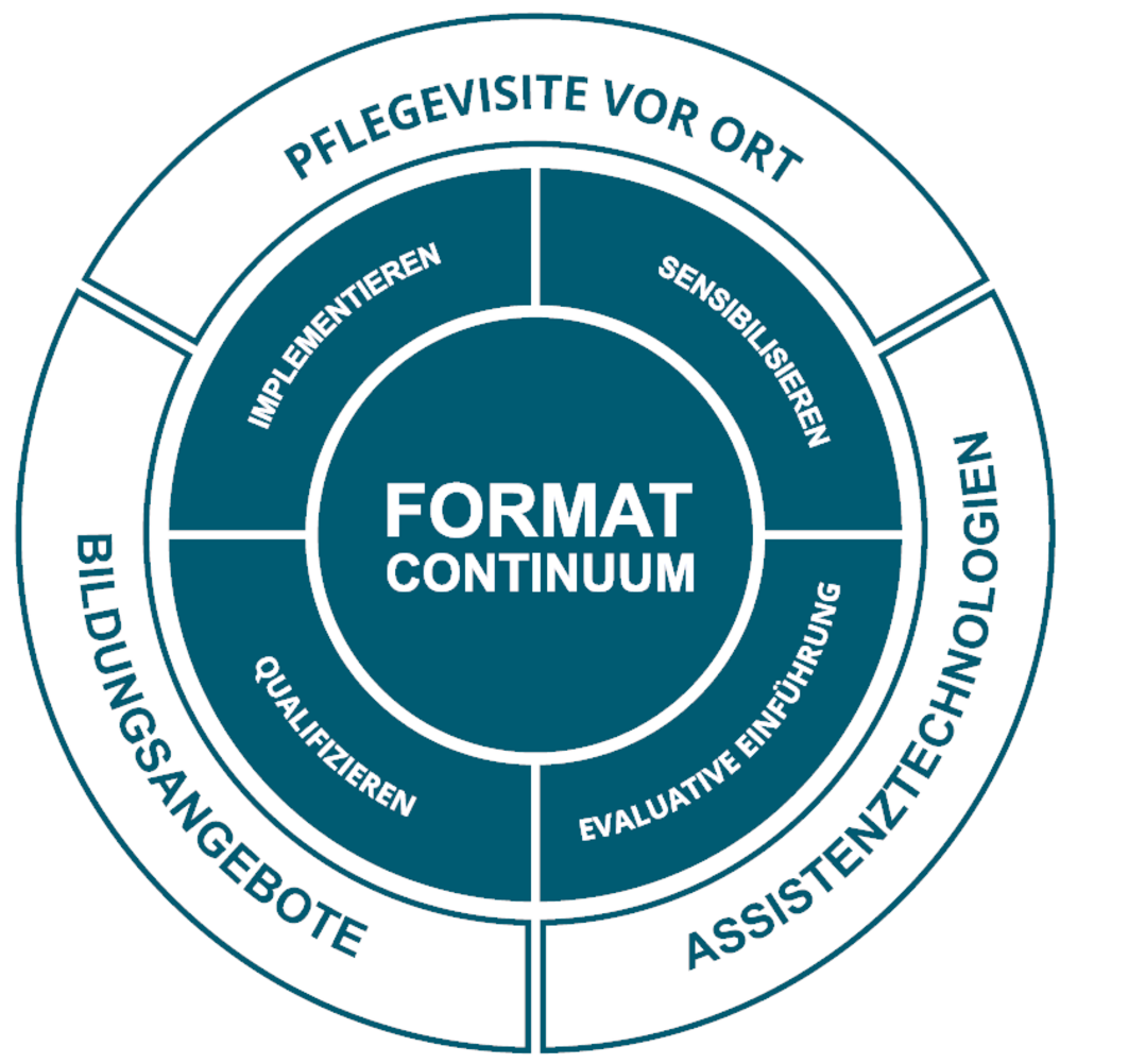 Grafik: Format-Continuum in der Mitte. Daneben: Sensibilisieren, implementieren, qualifizieren, evaluative Einführung; daneben: Pflegevisite vor Ort, Bildungsangebote, Assistenztechnologien 