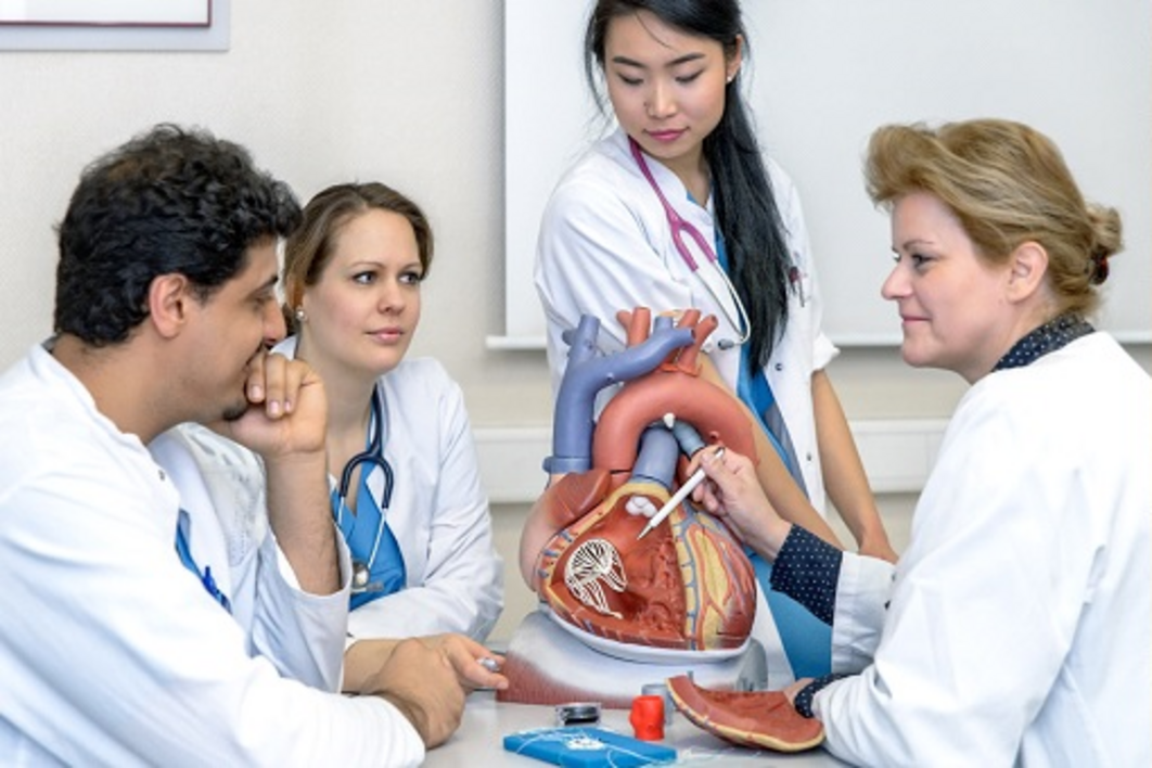 Ärztin erklärt Studierenden Herzmodell