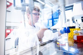 Eine Person mit Brille, blauen Handschuhen und Kittel arbeitet an einer Sicherheitswerkbank im Labor an Zellkulturen.