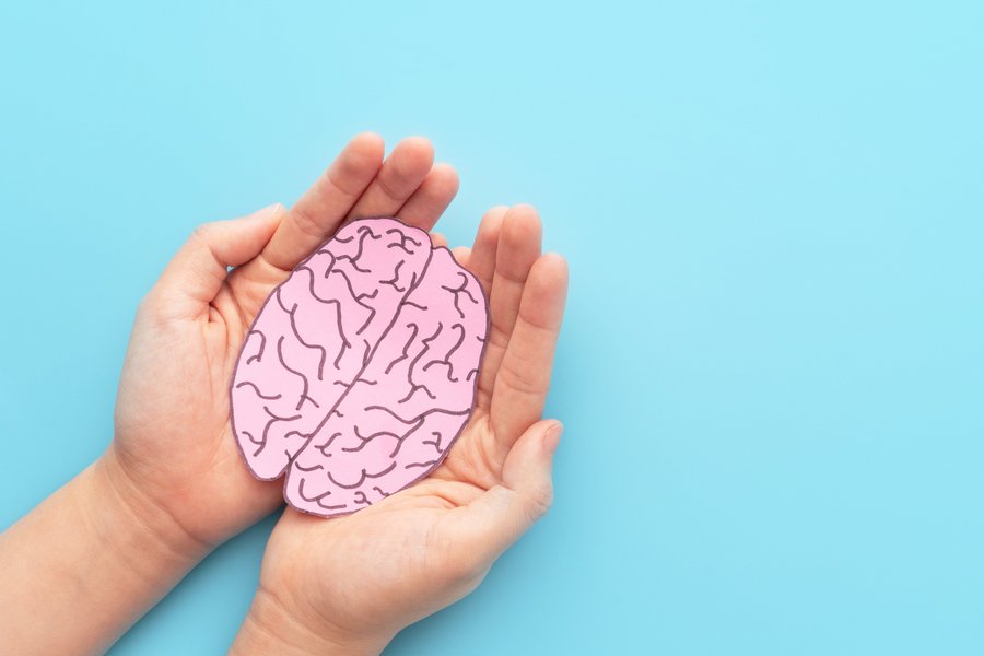 Zwei Hände halten vor hellblauem Hintergrund ein aus Papier ausgeschnittenes skizziertes Gehirn von links ins Bild.
