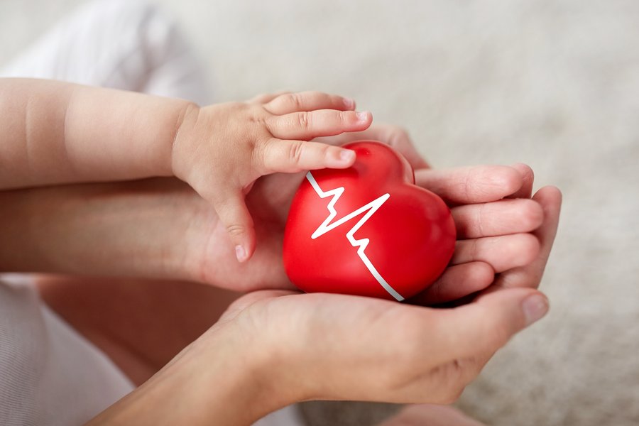 Nahaufnahme von Händen von Baby und Eltern, die ein rotes Herz festhalten, auf dem eine EKG-Linie abgebildet ist.  Nahaufnahme von Händen von Baby und Eltern, die ein rotes Herz festhalten, auf dem eine EKG-Linie abgebildet ist.