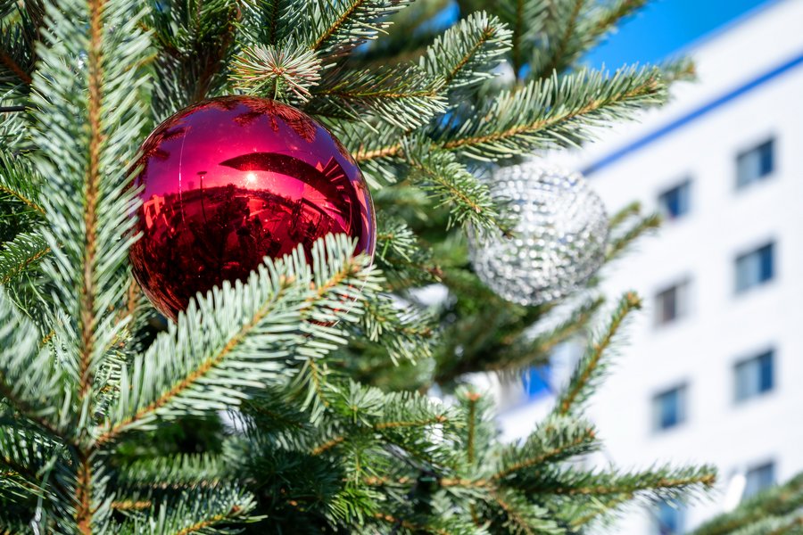 Ausschnitt Weihnachtsbaum mit roter Kugel.
